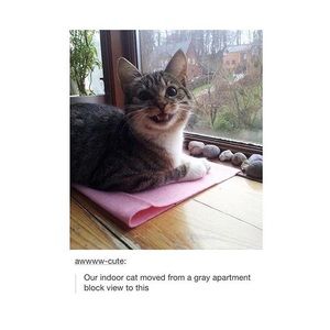 Meet your Posher, Nickole