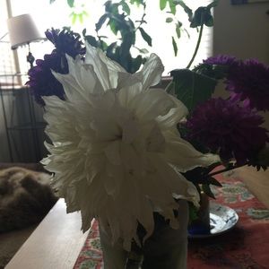 Meet your Posher, Katy