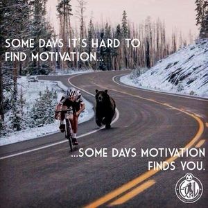 Meet your Posher, Tricia