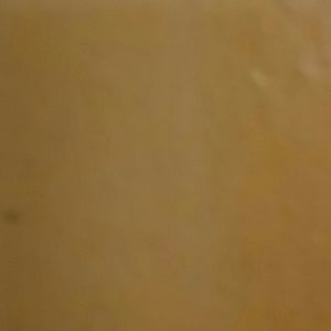 Meet your Posher, Vianey