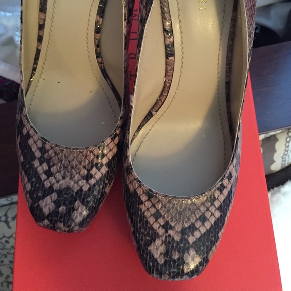 Perfect for Fall🍂 Python print platform pump - Picture 2 of 4