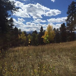 Meet your Posher, Kristina