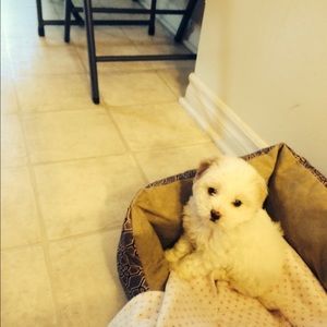 Meet your Posher, Connie