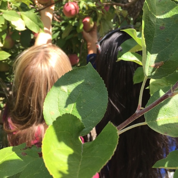 Meet your Posher, Lilly