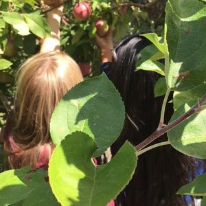 Meet your Posher, Lilly