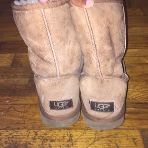 Ugg short boots