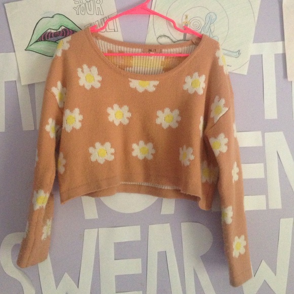 Daisy crop sweater