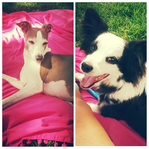 Meet your Posher, Honora - Picture 1 of 1