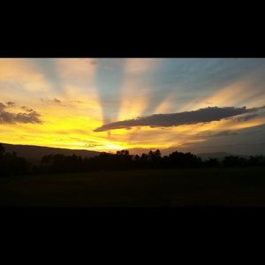 Meet your Posher, Lizzy