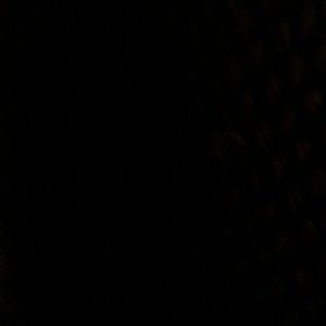 Meet your Posher, Nikki