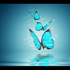 Meet your Posher, Cynthia