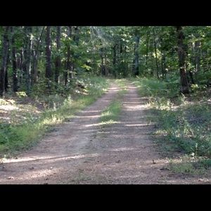 Meet your Posher, Sandy