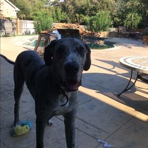 Meet your Posher, Shauna