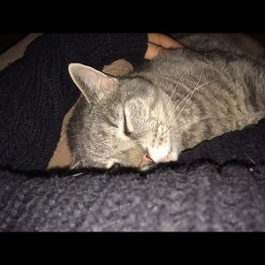 Meet your Posher, Kellie