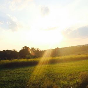 Meet your Posher, Allivia