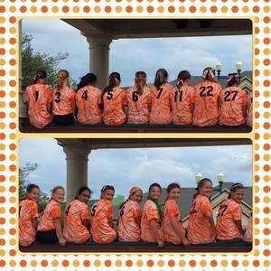 Meet your Posher, Terri