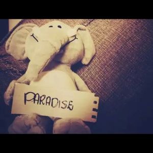 Meet your Posher, Aquila