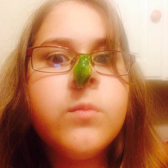 Meet your Posher, Ana - Picture 1 of 1