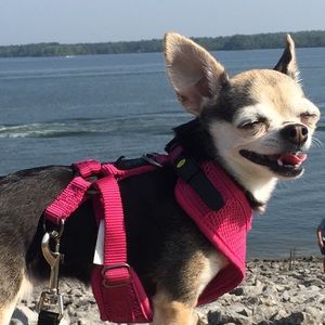 Meet your Posher, Erin