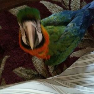 Meet your Posher, Jean