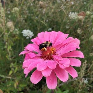 Meet your Posher, Darla