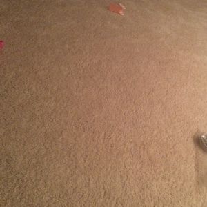 Meet your Posher, Betsy