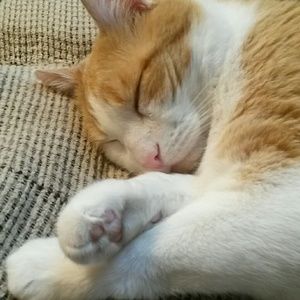 Meet your Posher, April