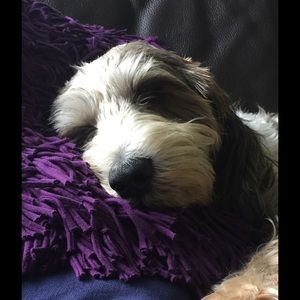 Meet your Posher, Colleen