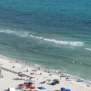 Meet your Posher, Ginger