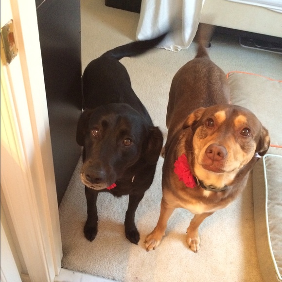 My babies!