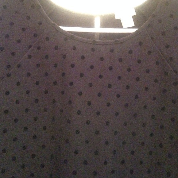 JCREW quarter sleeve velvet polka dot blouse