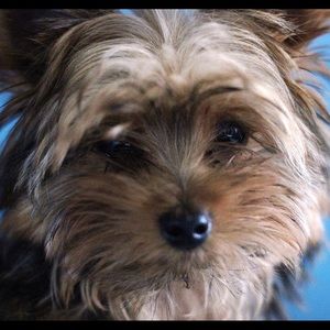 Meet your Posher, Alexzandria