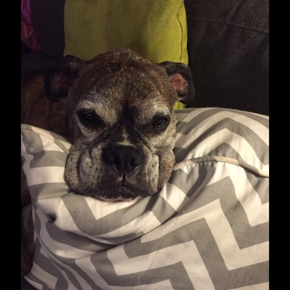 Meet your Posher, Kate