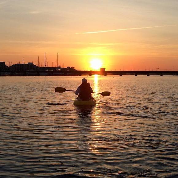 Meet your Posher, Selena - Picture 1 of 1