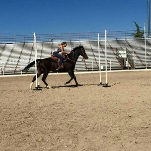 Meet your Posher, Wendy