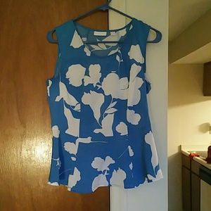 Baby blue white blouse. Zipper on side. Never worn
