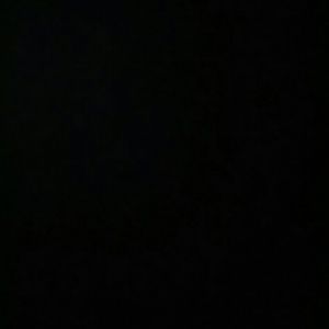 Meet your Posher, Bella