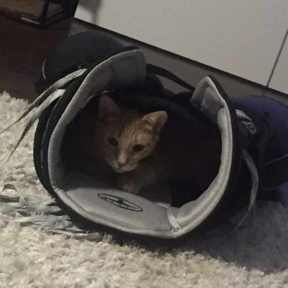 Meet your Posher, Patty