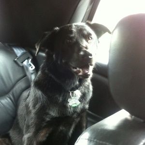 Meet your Posher, Caleena