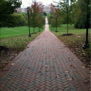 Meet your Posher, Renee