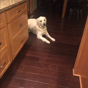 Meet your Posher, Lori