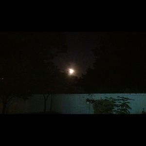 Meet your Posher, Rosemarie