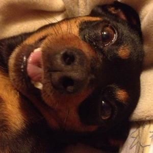 Meet your Posher, Brandi