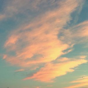 Meet your Posher, Talia