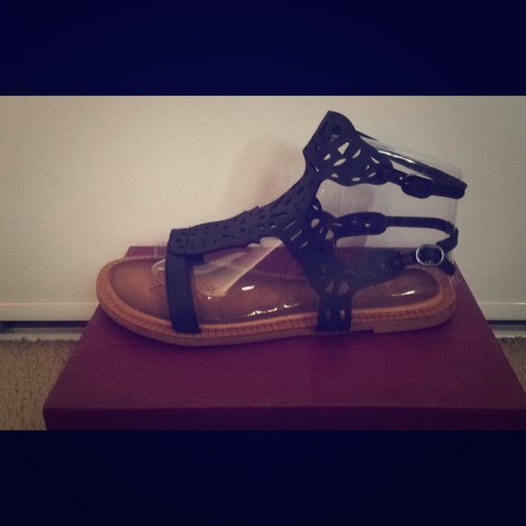 Women's Gladiators