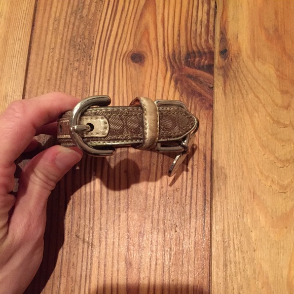 Coach Dog Collar