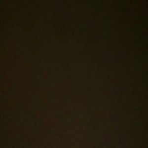 Meet your Posher, Sharika