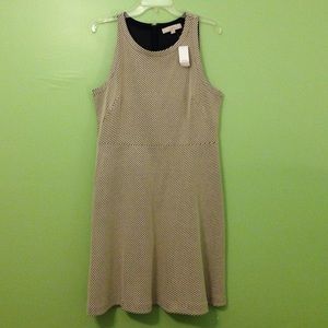 Cream and black Loft dress
