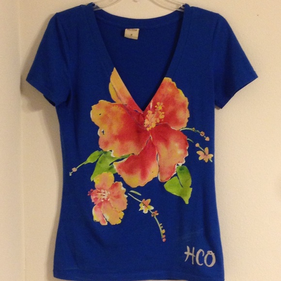 Blue Hollister V-Neck