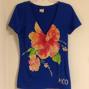 Blue Hollister V-Neck